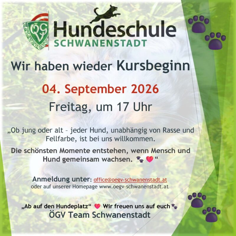 Die Sommerpause ist vorbei – Kursbeginn am 4. September 2026