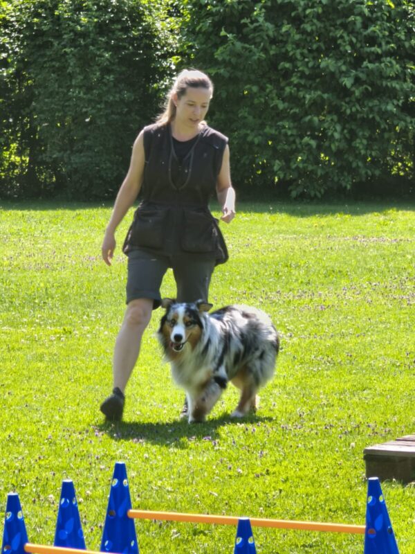 Kursabschluss mit „Fun Dog Parkour“