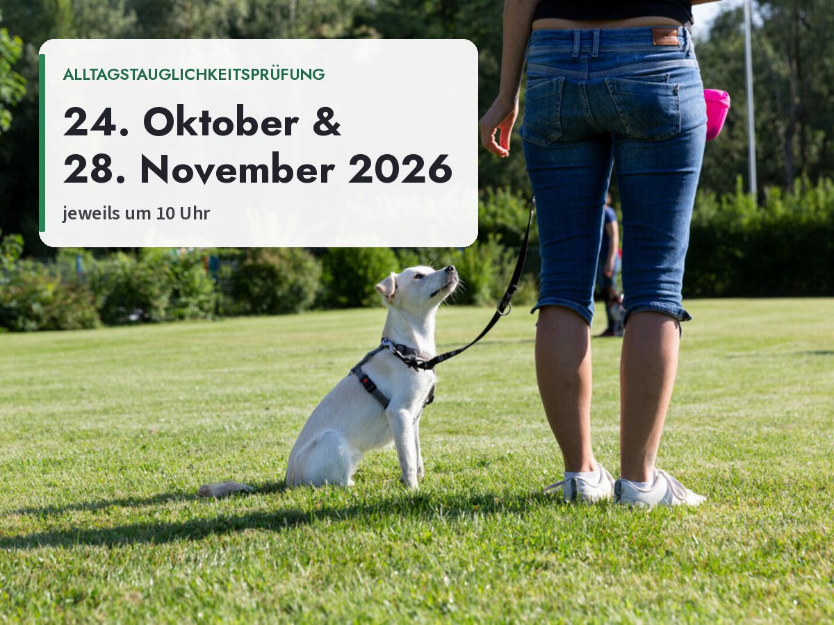 Alltagstauglichkeitsprüfungen (ATP) Herbst 2026