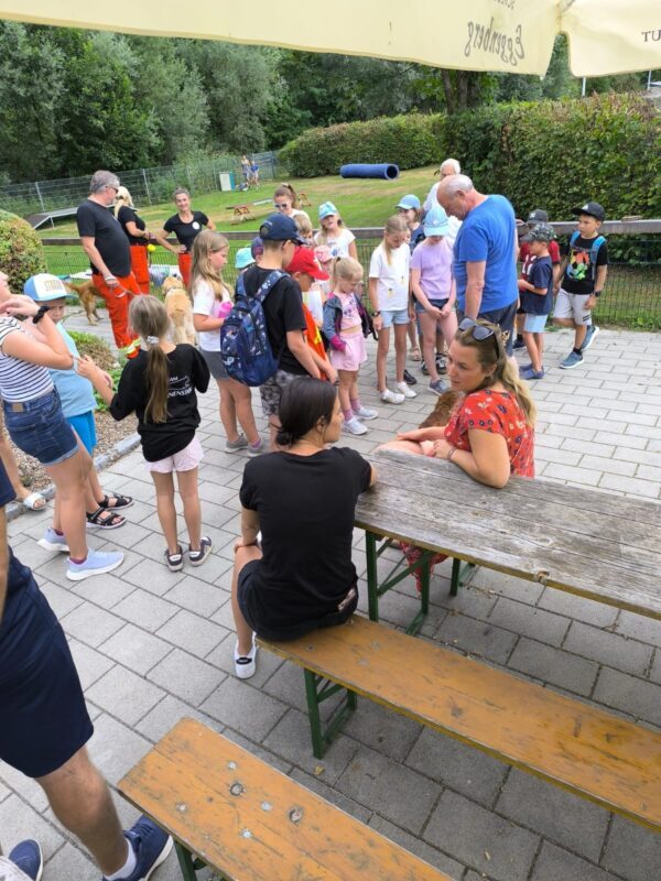 Ferienspaß der Gemeinde Schwanenstadt 2026 in der Hundeschule – Foto 2