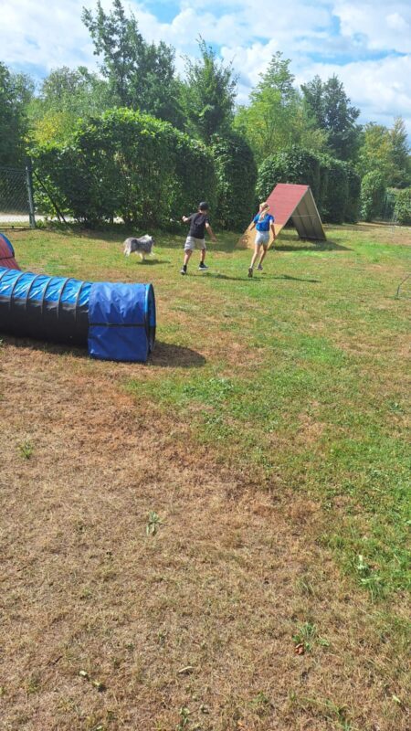 Ferienspaß der Gemeinde Schwanenstadt 2026 in der Hundeschule – Foto 4