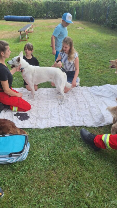Ferienspaß der Gemeinde Schwanenstadt 2026 in der Hundeschule – Foto 7