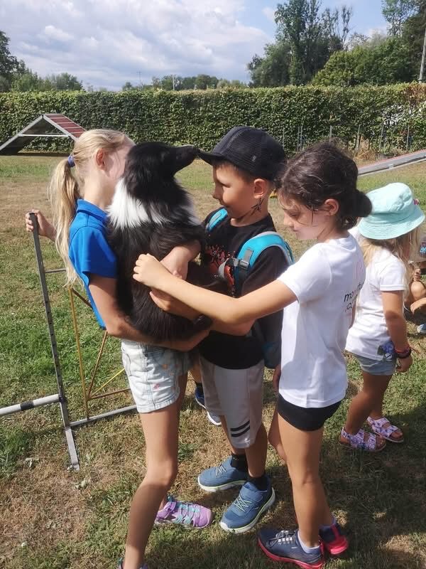 Ferienspaß der Gemeinde Schwanenstadt 2026 in der Hundeschule – Foto 8