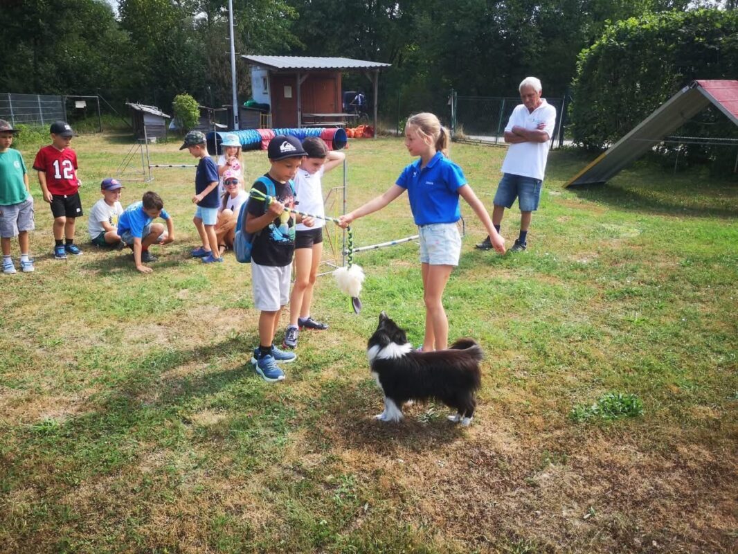 Ferienspaß der Gemeinde Schwanenstadt 2026 in der Hundeschule – Foto 10