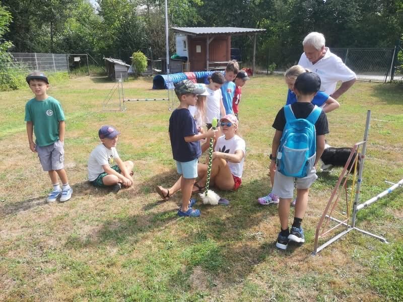 Ferienspaß der Gemeinde Schwanenstadt 2026 in der Hundeschule – Foto 11
