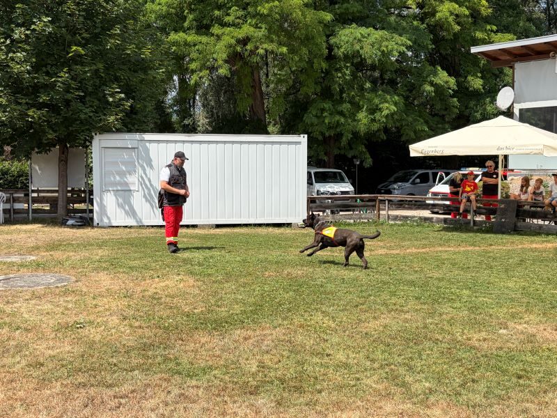 Ferienspaß der Gemeinde Schwanenstadt 2026 in der Hundeschule – Foto 18