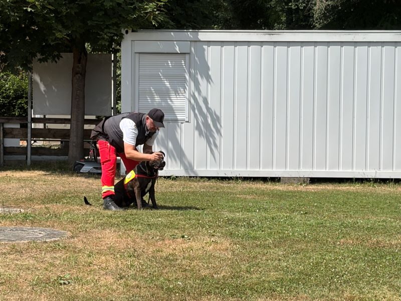 Ferienspaß der Gemeinde Schwanenstadt 2026 in der Hundeschule – Foto 19