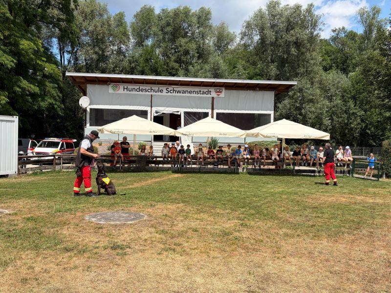 Ferienspaß der Gemeinde Schwanenstadt 2026 in der Hundeschule – Foto 20