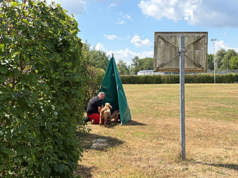 Ferienspaß der Gemeinde Schwanenstadt 2026 in der Hundeschule – Foto 21