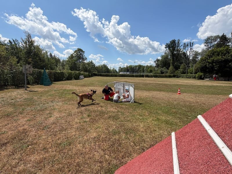 Ferienspaß der Gemeinde Schwanenstadt 2026 in der Hundeschule – Foto 22